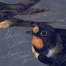 Muted Birds (Christian Pensel Remix)