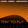 Try To Fly EP