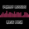 Rose Bush