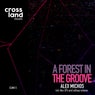 A Forest in the Groove