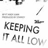 Keeping It All Low (feat. Andy Juan)