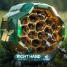 Wasp Nest