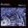 Organic Waveforms