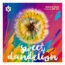 Sweet Dandelion