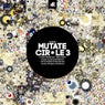 Circle 3