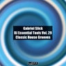 DJ Essential Tools Vol. 29 - Classic House Grooves