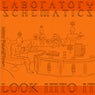 Laboratory Schematics: Look into It