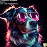 Lost Your Friend Remixes