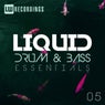 Liquid Drum & Bass Essentials, Vol. 05