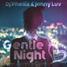 Gentle Night (Ariyan Azarfar Remix)