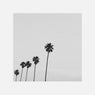 Nocturnal (Remix)