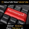 Peter Cocay - Digital Harmony EP