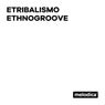 Ethnogroove