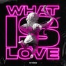 What Is Love (Extended Mix)
