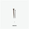 WAYF VOL 02
