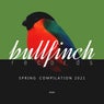 Bullfinch Spring 2021 Compilation