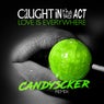 Love Is Everywhere (Candyscker Remix)