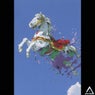 Carousel