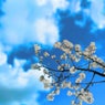 Breathe