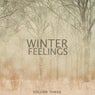 Winter Feelings, Vol. 3 (Finest In Calm & Heartwarming Chill Out Tunes)