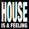 House Is A Feeling EP