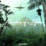 Adventure Of A Lifetime (feat. Dom Fricot) [Extended Mix]