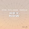 Hey Now (Extended Mix)