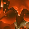 Crimson Sea EP