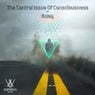 The Central Issue Of Consciousness