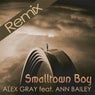 Smalltown Boy (Remixes)
