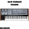 RAW TECHNO SCHRANZ