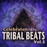 Celebrate Tribal Beats, Vol. 5 (Collection from Progressive to Tech House With Jazzy Latin Tribal Influences  )