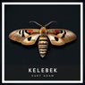 Kelebek
