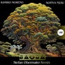 Baobá (Stefan Obermaier Remix)