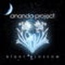 Night Blossom (Fire Flower Revisited - Unmixed)