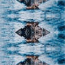 Loon