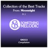 Collection of the Best Tracks From: Moonnight, Pt. 1