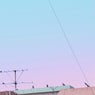 Walk