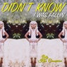 Didn't Know I Was Fallin