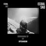 Echocosm