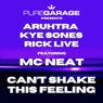 Can't Shake This Feeling