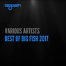 Best of Big Fish 2017