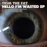 Hello Im Wasted EP