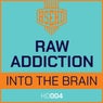 Into the Brain