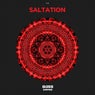 Saltation