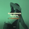 Shining Soul