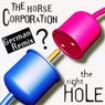 The Right Hole (German Remix)