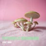 Psychedelic Mushrooms