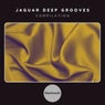 Jaguar Deep Grooves