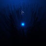 Dubstep